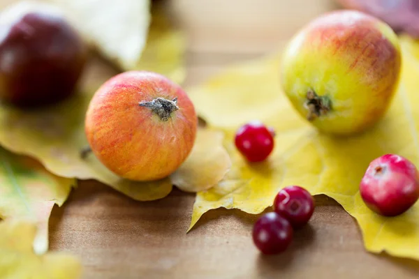 Nahaufnahme von Herbstblättern, Früchten und Beeren — Stockfoto