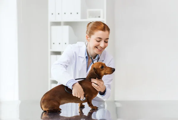 Médico com estetoscópio e cão na clínica veterinária — Fotografia de Stock