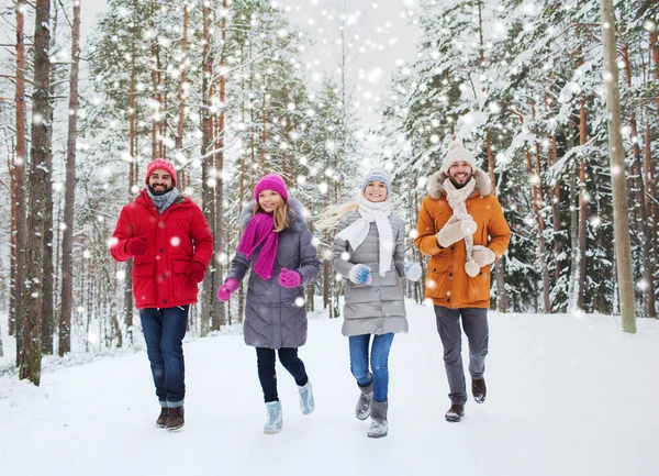 Groupe d'hommes et de femmes souriants dans la forêt d'hiver — Photo