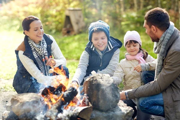 幸福的家庭，在篝火旁烤棉花糖 — 图库照片
