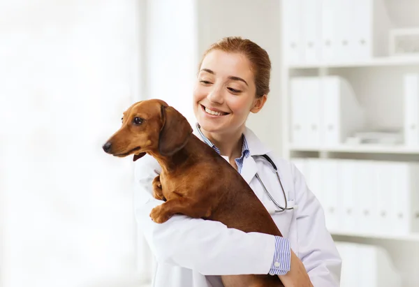 Médico feliz com cão na clínica veterinária — Fotografia de Stock