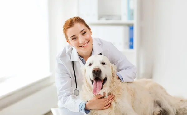 Médico feliz com cão retriever na clínica veterinária — Fotografia de Stock