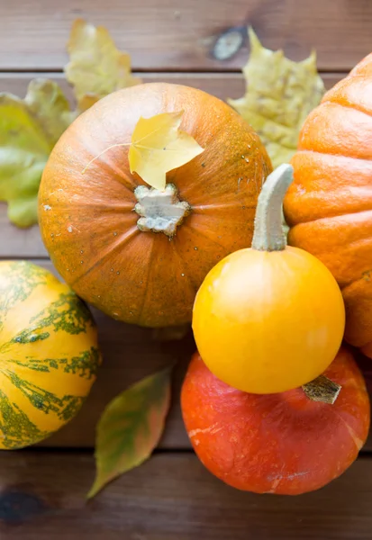 Close up of pumpkins on wooden table at home — Stock Photo, Image
