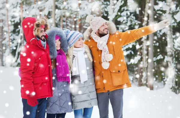 A férfiak és a nők téli erdőben mosolygó csoport — Stock Fotó