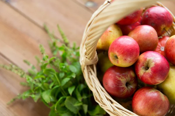 Close up of basket with apples and herbs on table — Stock Photo, Image