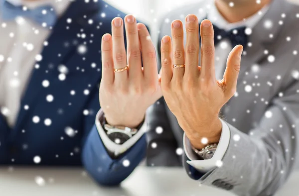 Close up of male gay couple with wedding rings on — Stock Photo, Image