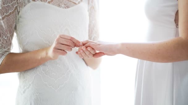 결혼 반지를 끼고 있는 레즈비언 커플들의 손을 꽉 잡고 있는 모습 — 비디오