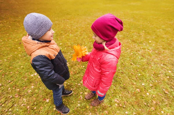 Pequeño niño dando otoño arce hojas a chica —  Fotos de Stock