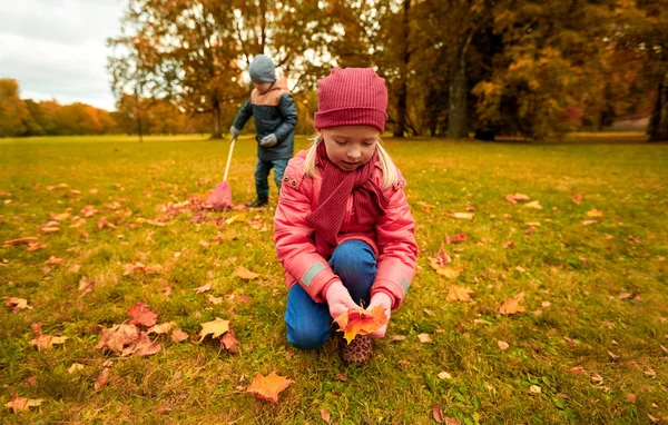 Crianças que coletam folhas no parque de outono — Fotografia de Stock