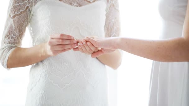 Close up of lesbian couple hands with wedding ring — Stock Video