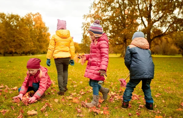 Группа детей, собирающих листья в осеннем парке — стоковое фото