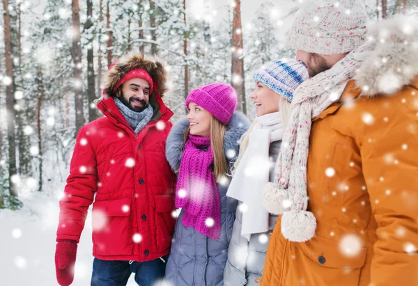 Grupo de hombres y mujeres sonrientes en el bosque de invierno — Foto de Stock