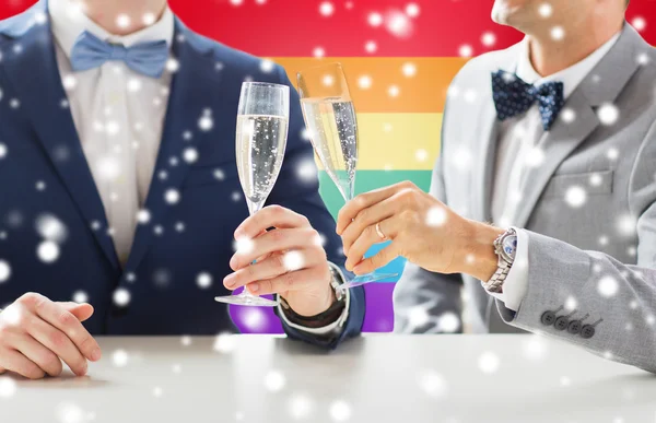 Close up of male gay couple with champagne glasses — Stock Photo, Image