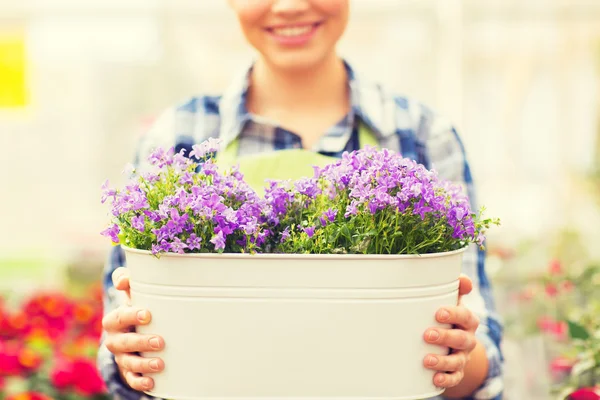 Close up of happy woman holding flowers in pot — Stock Photo, Image