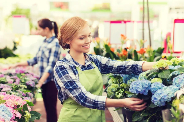 Happy woman taking care of flowers in greenhouse Royalty Free Stock Images