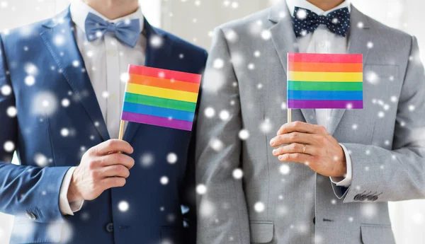 Närbild av manliga homosexuella par som håller regnbågsflaggor — Stockfoto