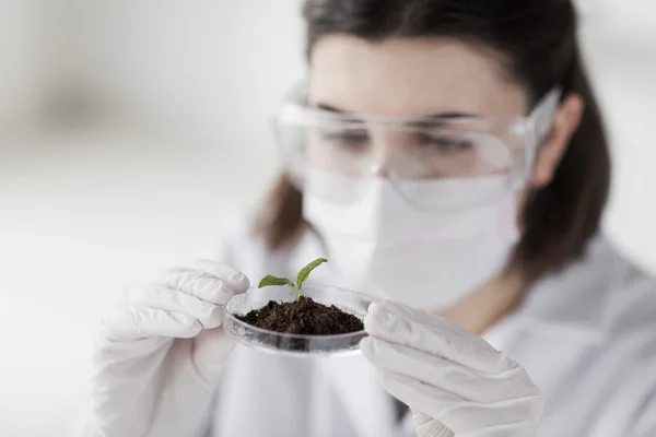 Close up of scientist with plant and soil in lab — Stock Photo, Image