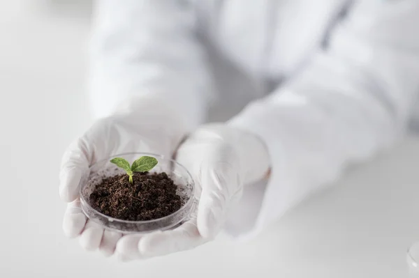 Close up of scientist hands with plant and soil — Stock Photo, Image