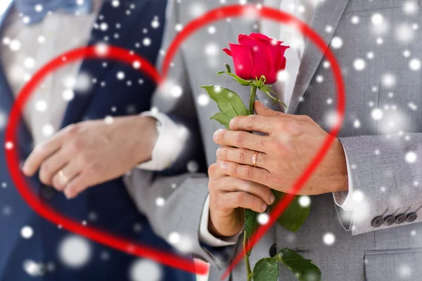 Närbild av glada manliga homosexuella par håller hand — Stockfoto