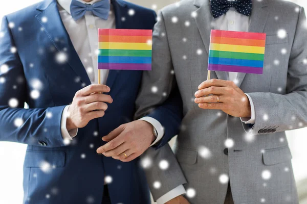 Close up of male gay couple holding rainbow flags — Stock Photo, Image