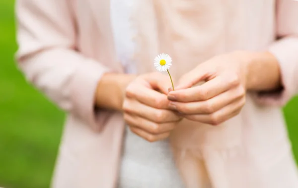 Primo piano di mani di donna con fiore margherita — Foto Stock