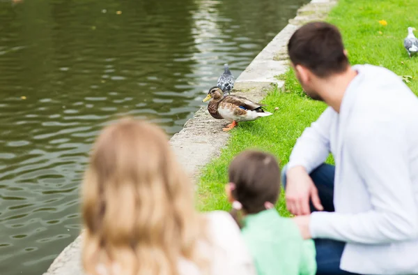 公園で夏の池ではアヒルを見て家族 ストック画像