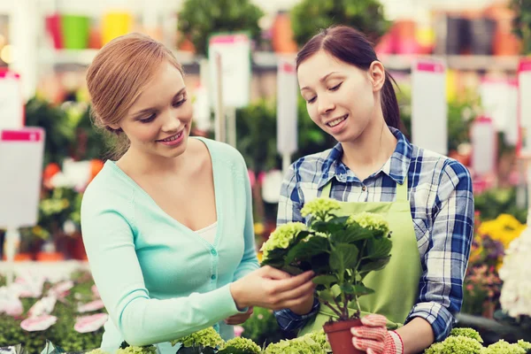 Glückliche Frauen wählen Blumen im Gewächshaus — Stockfoto