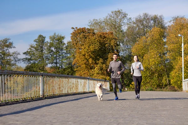 Happy couple with dog running outdoors — Stock Photo, Image