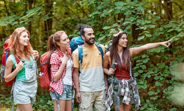 Grupp leende vänner med ryggsäckar vandring — Stockfoto