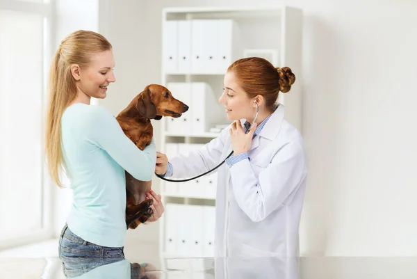 Mulher feliz com cão e médico na clínica veterinária — Fotografia de Stock