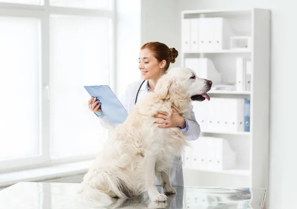 Médico feliz com cão retriever na clínica veterinária — Fotografia de Stock