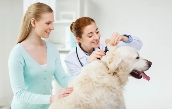 Glad kvinna med hund och läkare vid veterinär klinik — Stockfoto