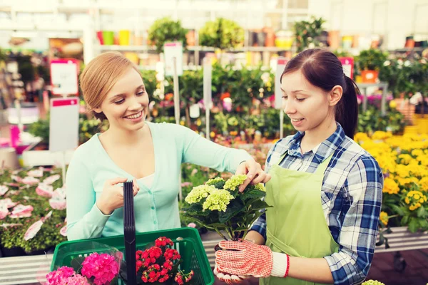 Gelukkig vrouwen kiezen bloemen in kas — Stockfoto