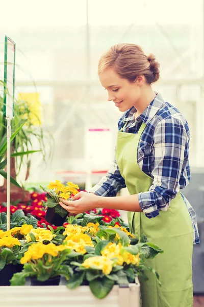 Gelukkige vrouw met bloemen in kas — Stockfoto