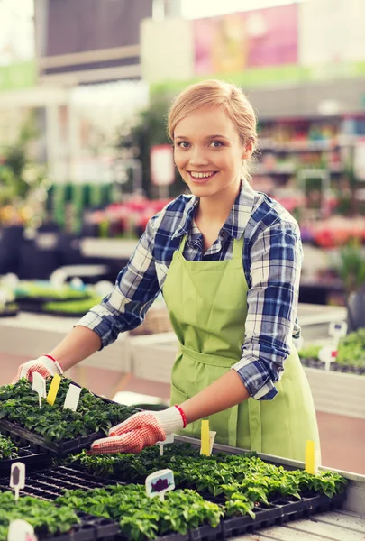 Lycklig kvinna ta hand om plantor i växthuset — Stockfoto