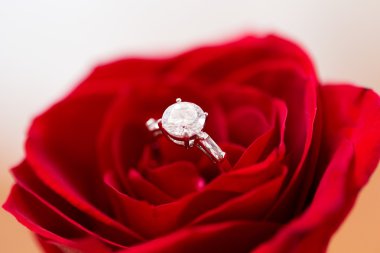 close up of diamond engagement ring in rose flower clipart