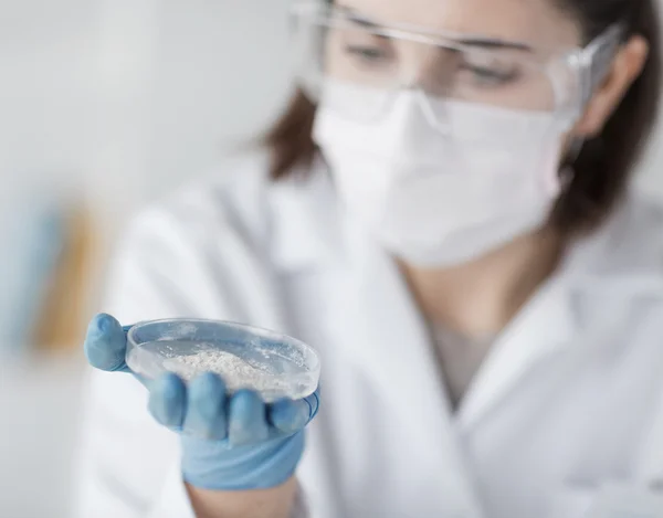 Nahaufnahme eines Wissenschaftlers mit Petrischale im Labor — Stockfoto