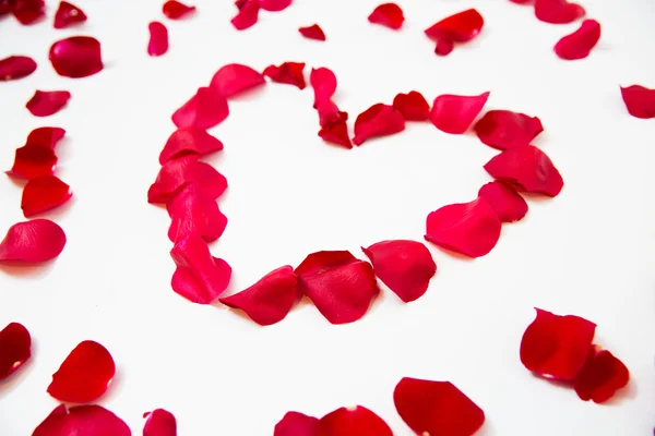 Close up of red rose petals in heart shape — Stock Photo, Image