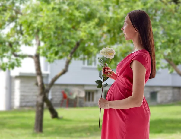 Mujer embarazada feliz con flor de rosa Fotos de stock libres de derechos