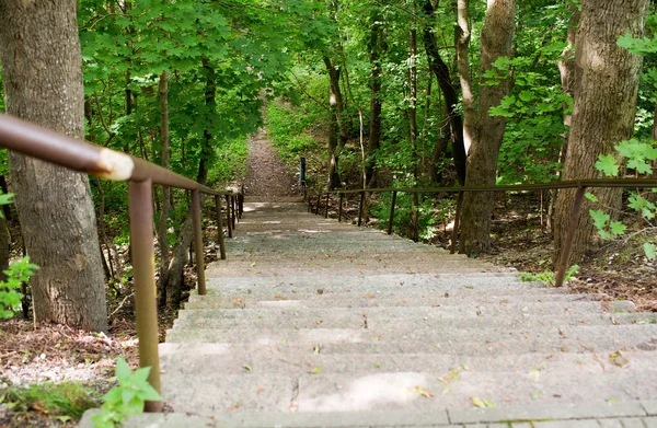 Primer plano de la escalera en el bosque o parque de verano —  Fotos de Stock