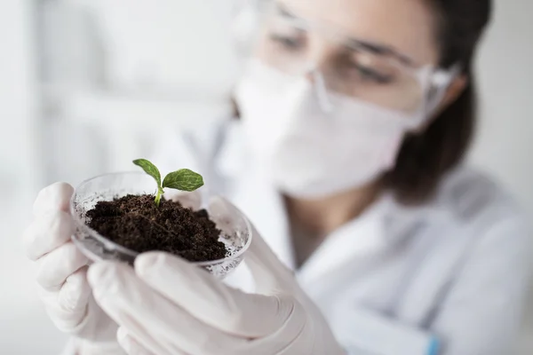 Perto de cientista com planta e solo em laboratório — Fotografia de Stock