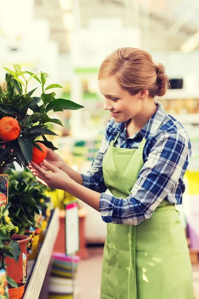 Gelukkige vrouw aanraken Mandarijn boom in kas — Stockfoto