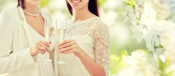 Gros plan de couple lesbien avec verres à champagne Image En Vente