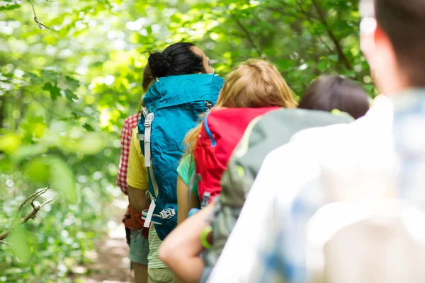 Dostları hiking sırt çantaları ile yakın çekim — Stok fotoğraf