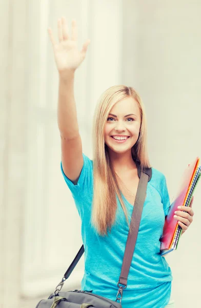 Student mit Ordnern — Stockfoto