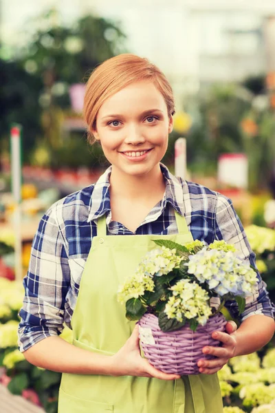 Щаслива жінка тримає квіти в теплиці — стокове фото