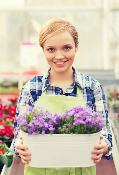 Boldog asszony gazdaság virágok üvegházhatású — Stock Fotó