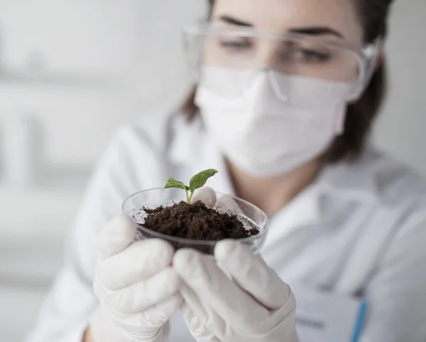 Perto de cientista com planta e solo em laboratório — Fotografia de Stock