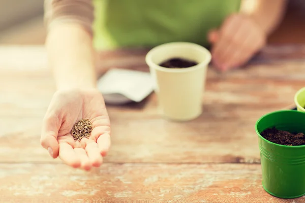 Primer plano de la mano de mujer sosteniendo semillas — Foto de Stock