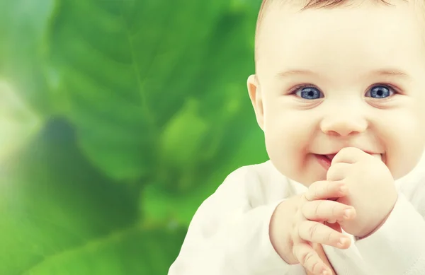 Adorable bebé niño Imágenes de stock libres de derechos